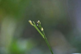 Doc PC 86 - Dépannage installation upgrade informatique internet a
domicile ou atelier loudun 86 suppression virus reinstallation windows mac linux 86200