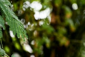 Doc PC 86 - Dépannage installation upgrade informatique internet a
domicile ou atelier loudun 86 suppression virus reinstallation windows mac linux 86200